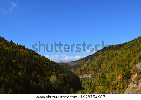 Autumn colors in the mountain 