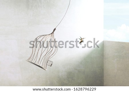 little birds escapes out of birdcage Royalty-Free Stock Photo #1628796229