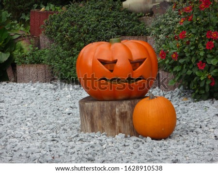 decorative pumpkins lie on white stones
