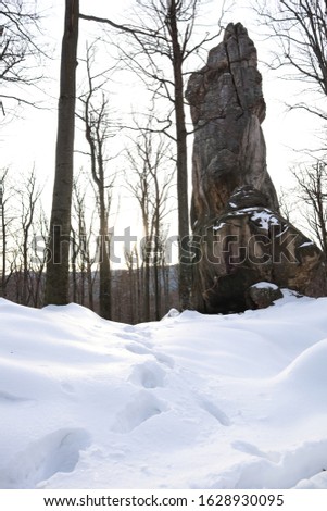 Dovbush rocks in winter. Travel. Natural resources. Stones under the snow. Ukrainian mountains.
