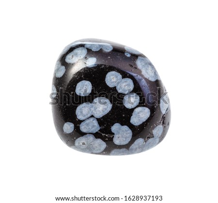 closeup of sample of natural mineral from geological collection - tumbled Snowflake Obsidian gem stone isolated on white background