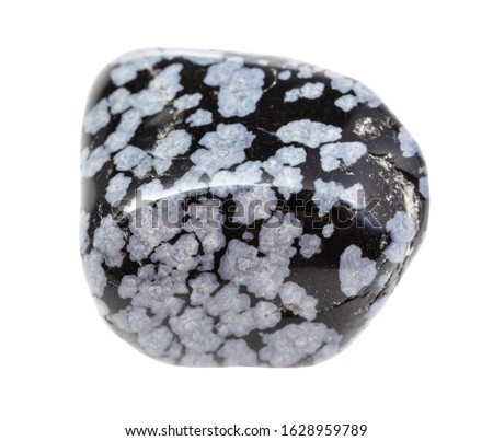 closeup of sample of natural mineral from geological collection - polished Snowflake Obsidian gemstone isolated on white background
