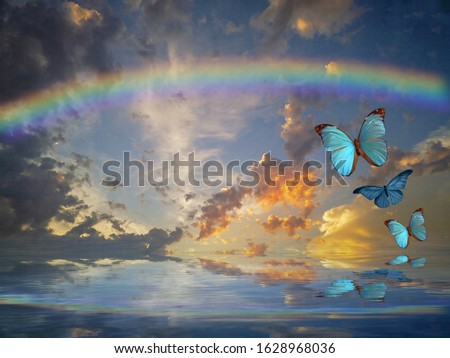 spiritual and ecologic background for meditation with butterflies in blue 