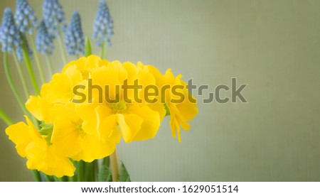 Flowers in spring background with free space