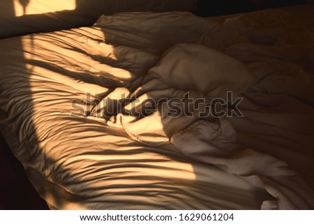 Brown sheets in crumpled dark corners  And the morning sunshine