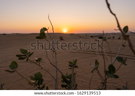 Scenic landscapes of Dubai desert during sunset