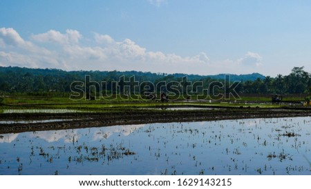 illustration of puddle photography in the fields, it can be used for profile photos, web covers, and backgrounds