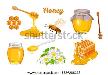 Honey set. Honeycombs, bee, honey in glass  jar, wooden honey dipper, honey in metal spoon and flowers isolated on white background. Vector illustration of organic natural sweets in cartoon flat style Royalty-Free Stock Photo #1629286333