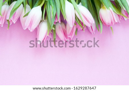 Tulips flowers on pink background. Flat lay, top view. Lovely greeting card with tulips for Mother's day, wedding or happy event - Image.
