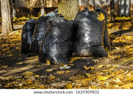 	
Garbage bags full of dead leaves. Cleaning service concept. Seasonal works – gathering compostable garbage. Heaps of autumn yellow and orange foliage in park, backyard or garden