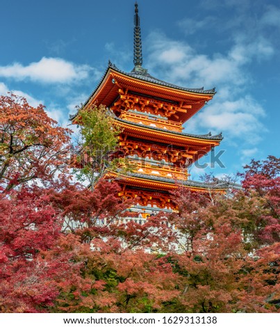 Toji Five story pagoda surounded by autumn colors. Kyoto, Japan