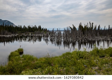 Lake Sulphur along the Alaska Highway