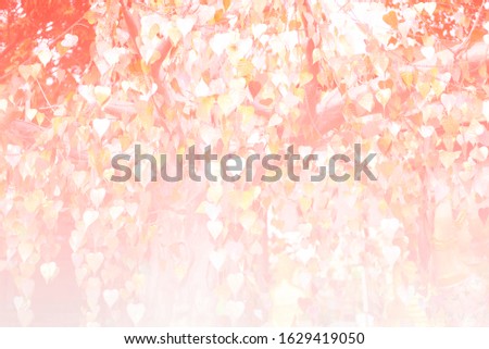 Light, abstract background, bokeh Multicolored on a blurred background