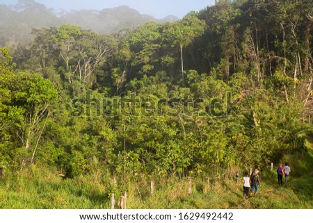 group adventurous hike through the Atlantic rainforest and along cultivated agricultural land 