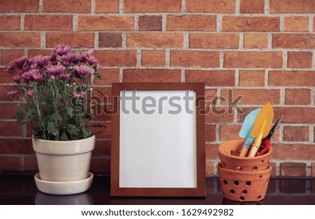 Front view of blank frame , pink Chrysanthemums in plant pot and gardening equipment on black table and brick wall background.