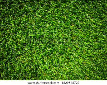 Artificial green grass texture background with copy space for work and design, Top view