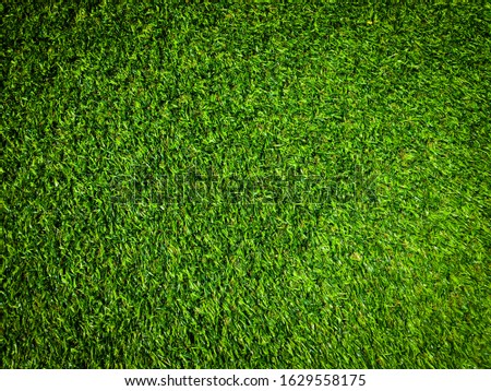 Green grass texture background with copy space for design, Top view