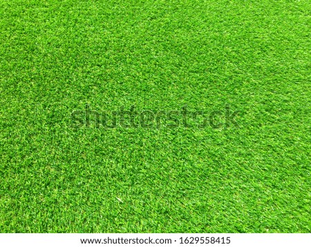 Modern green lawn texture background. Wallpaper for work and design.