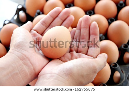 The Picture concept Egg on hands.