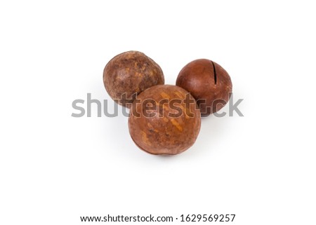 Three whole ripe macadamia nuts with sawn hard nutshells on a white background
