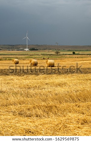 Rural landscape near Laterza and Santeramo in Colle, Apulia, Southern Italy, at summer. Storm incoming.