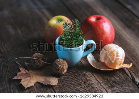 fir branches in a blue cup and fruits on a wooden background.