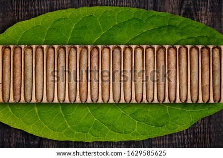 Cigars in wooden box on green tobacco leaf background. Cigar manufacturing in vintage traditional scale tools, top view. Old box with handmade cigars in wooden humidor.  Royalty-Free Stock Photo #1629585625