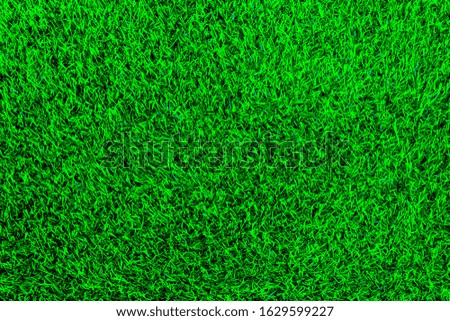 Green grass soccer field background.