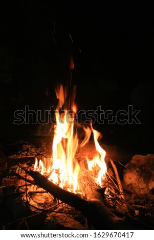 flame of hot campfire in darkness. Burning wood.