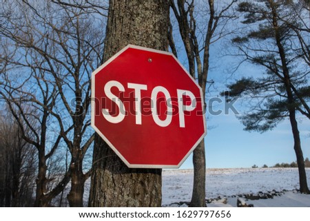 Red octagonal stop sign attached to a tree