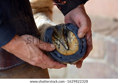 Farrier, metal horseshoe for horses Royalty-Free Stock Photo #1629822328