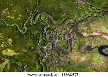Aerial photography of Cape Cod`s awesome marshlands and pure wilderness. The picture shows green environment and an infinite diversity of the nature. Royalty-Free Stock Photo #1629825754
