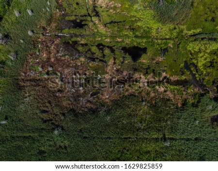 Aerial photography of Cape Cod`s awesome marshlands and pure wilderness. The picture shows green environment and an infinite diversity of the nature. Royalty-Free Stock Photo #1629825859