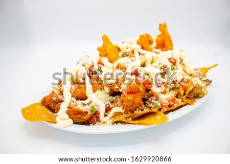 mexican food classic tacos quesadillas