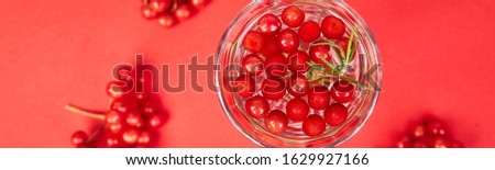 Banner of Tasty cold fresh drink, detox water with viburnum berry, rosemary