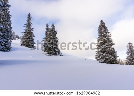 Winter landscape in the mountains. Rusinowa Glade. Tatry.