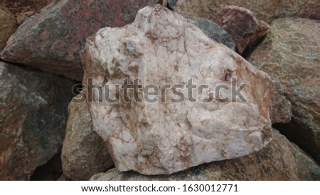 close up at white rock 