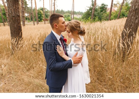 happy bride and groom walking in wheat ears field in sunny day.
newlyweds gently embrace outdoors in summer. wedding day in the nature. Portrait of smyling bride and groom in the yellow field. 