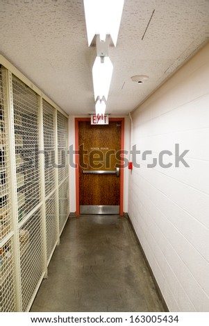 Basement Hallway in the Library Stacks