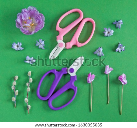 Pink and purple scissors and spring flowers on a green background