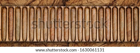 Cigars in wooden box on dry tobacco leaves background. Cigar manufacturing in vintage traditional scale tools, top view. Old box with handmade cigars in wooden humidor, banner. Royalty-Free Stock Photo #1630061131
