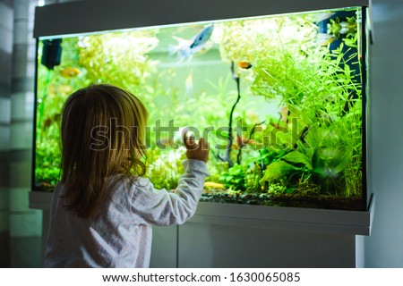 2 year old child indoors watching fish swiming in big fish tank, aquarium. Aquaria concept.