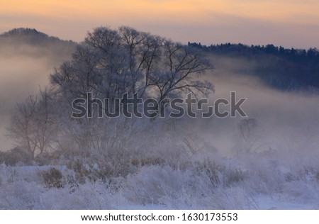 Scenery at the dawn of winter in Iwate Prefecture
