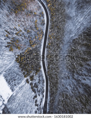 A top down aerial shot of a long road in the middle of trees and snow