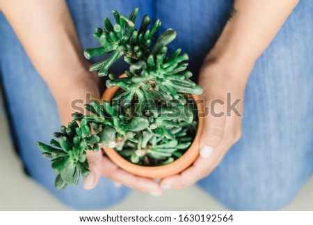Close up  of kneeled woman hand holding a pot with a burrito's tail in it
