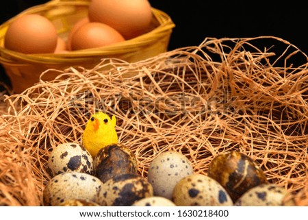 Easter still life with a yellow chicken toy and spotted eggs in a straw against a background of red colored eggs in a basket