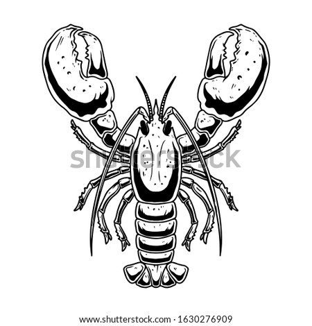 Illustration of lobster in engraving style on white background. Design element for logo, label, emblem, sign. Vector illustration