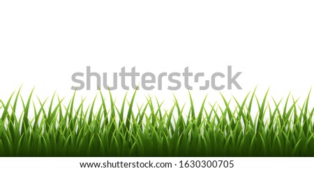 Green grass border set on white background. Vector Illustration.