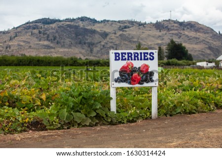 BERRIES field sign with berries varieties fruits picture, open field in the back, Okanagan Valley, British Columbia, Canada