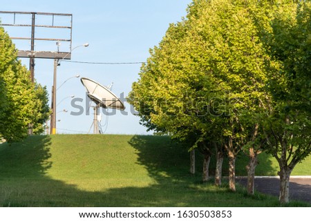 The plantains are trees of the genus Platanus, of the family Platanaceae, native to Eurasia and North America, typical of the temperate climate. In the background, the image of a satellite dish.